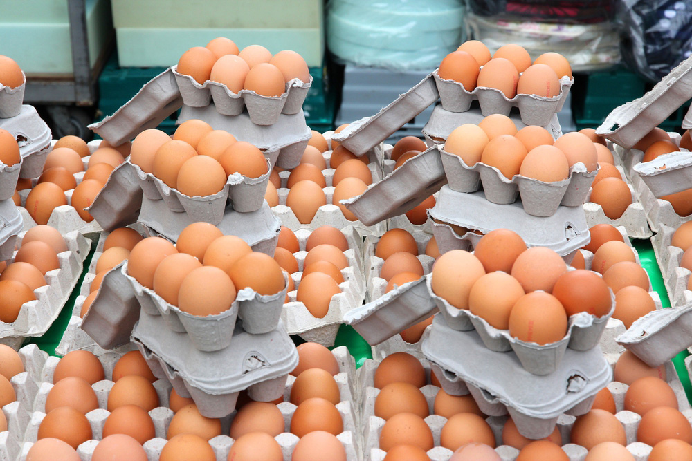 Are Cardboard Egg Cartons Recyclable?